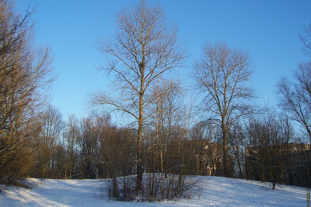 Photo de la Plaine #6