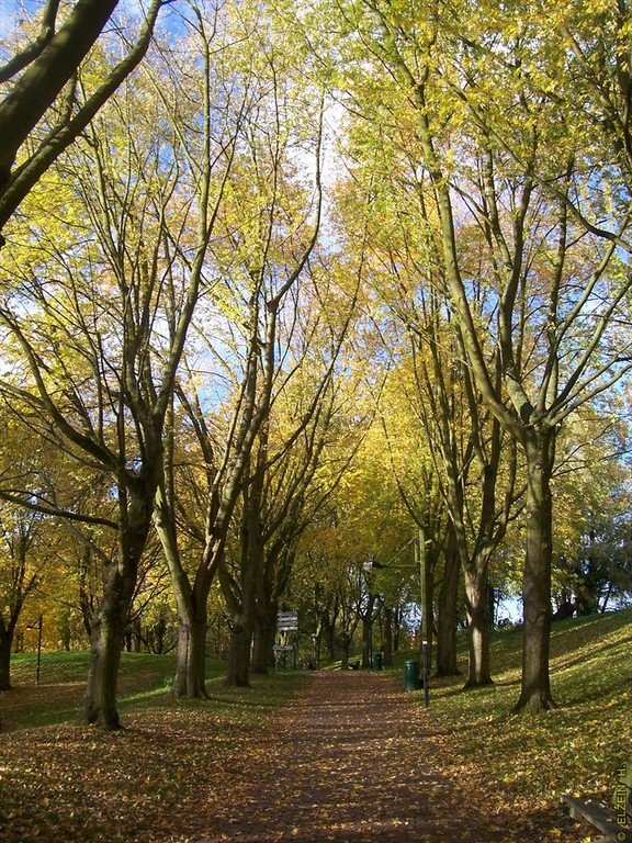 Photo de la Plaine #15