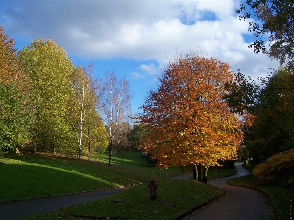 Photo de la Plaine #22