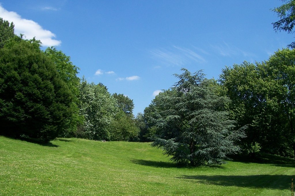 Photo de la Plaine #23