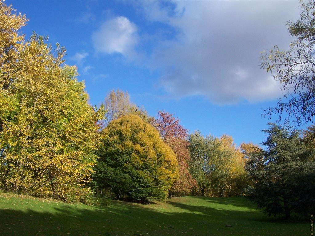 Photo de la Plaine #24