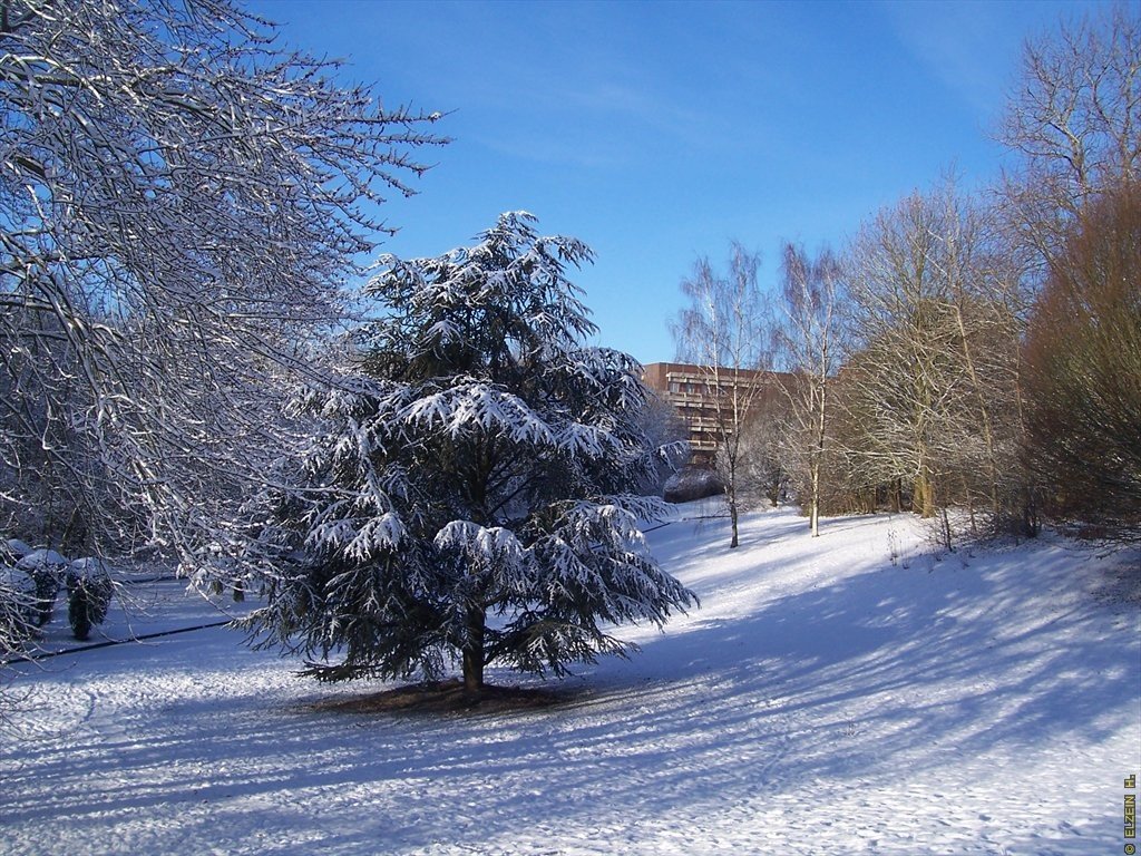 Photo de la Plaine #27