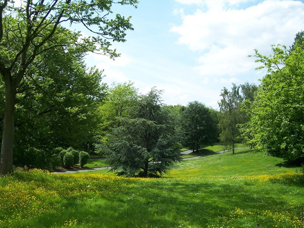 Photo de la Plaine #28