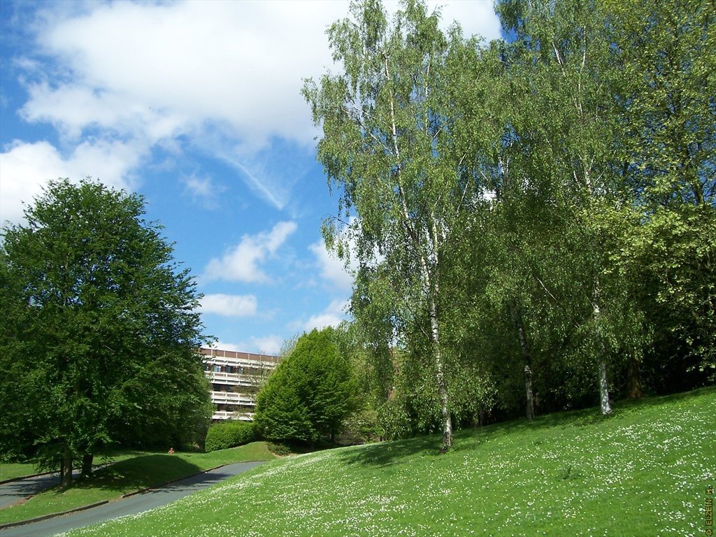 Photo de la Plaine #29