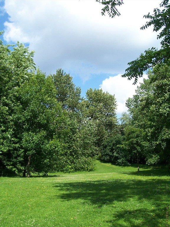 Photo de la Plaine #33