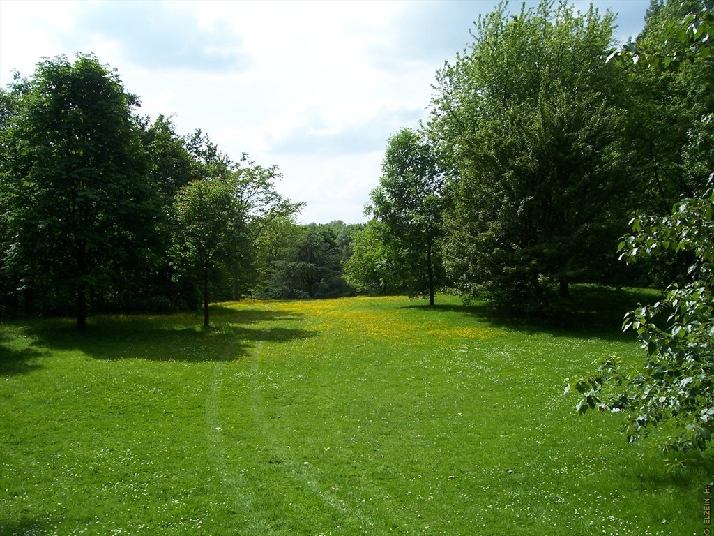 Photo de la Plaine #36