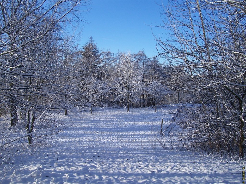 Photo de la Plaine #37