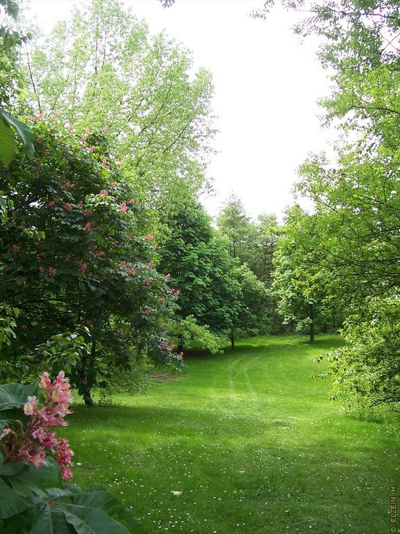 Photo de la Plaine #38