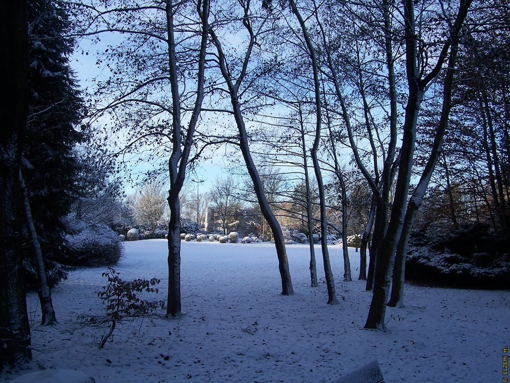 Photo de la Plaine #40