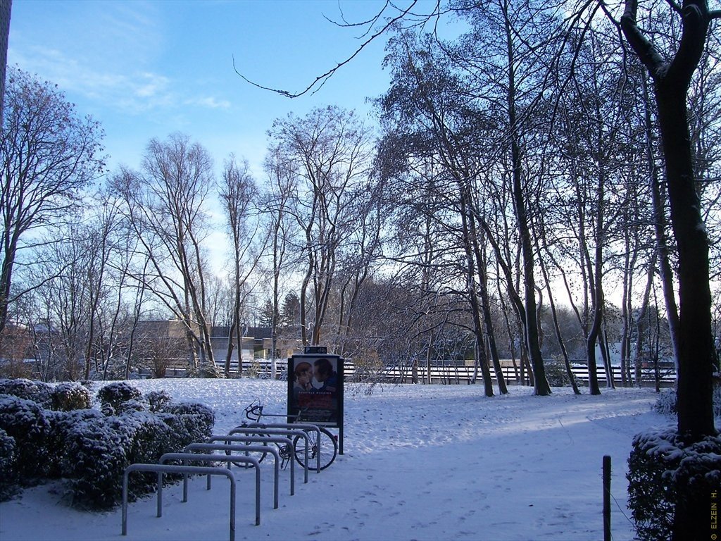 Photo de la Plaine #41