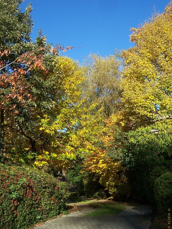 Photo de la Plaine #42