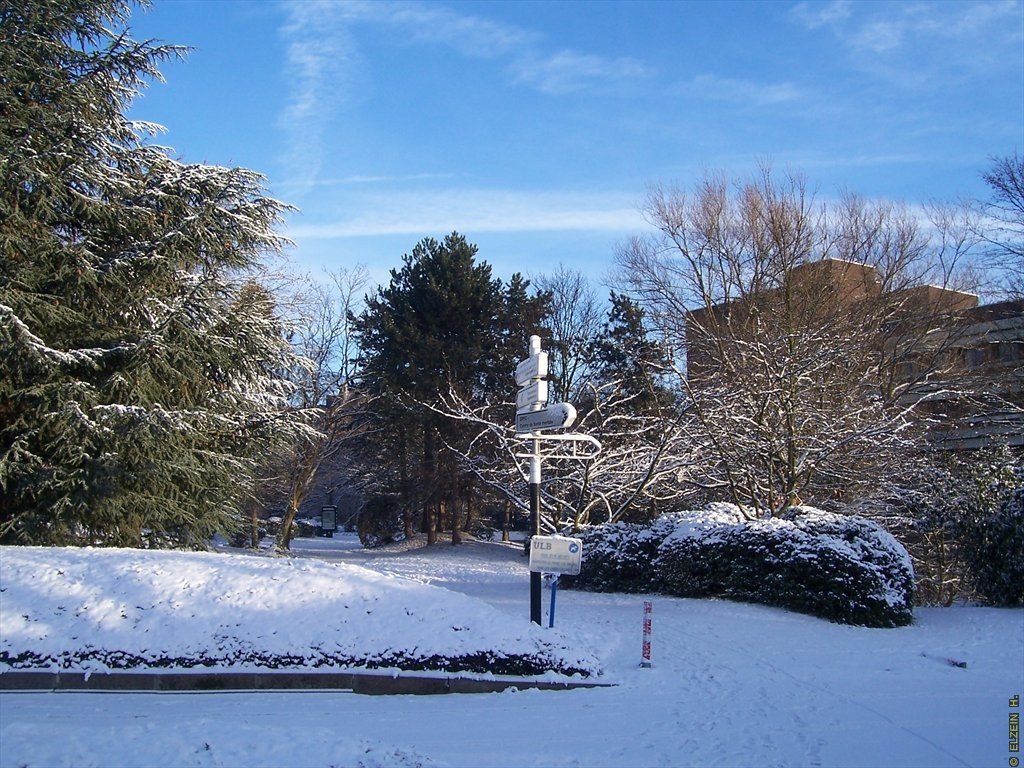 Photo de la Plaine #45