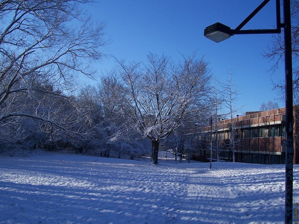 Photo de la Plaine #46