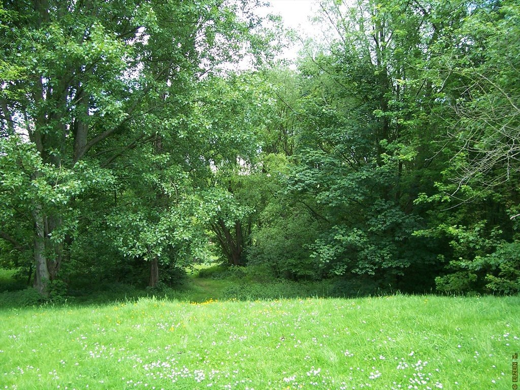 Photo de la Plaine #48