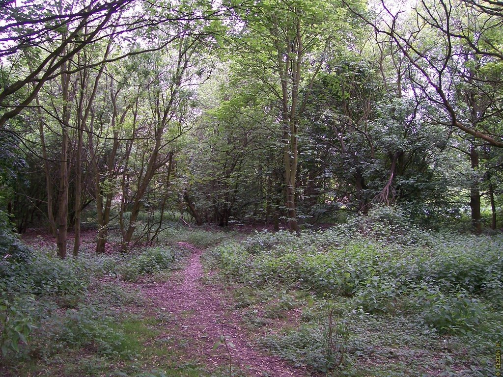 Photo de la Plaine #49