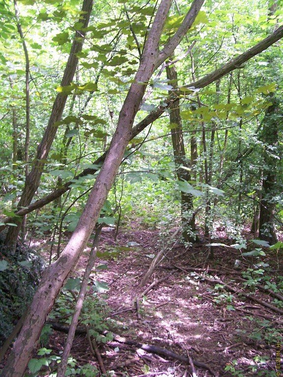 Photo de la Plaine #52