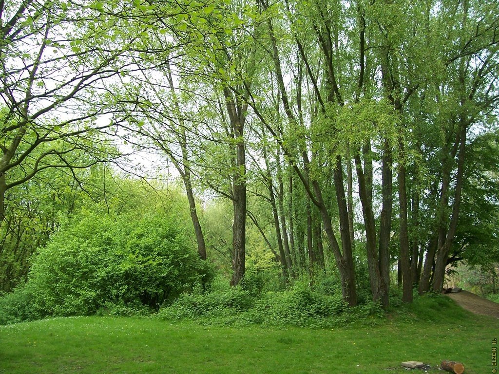 Photo de la Plaine #53