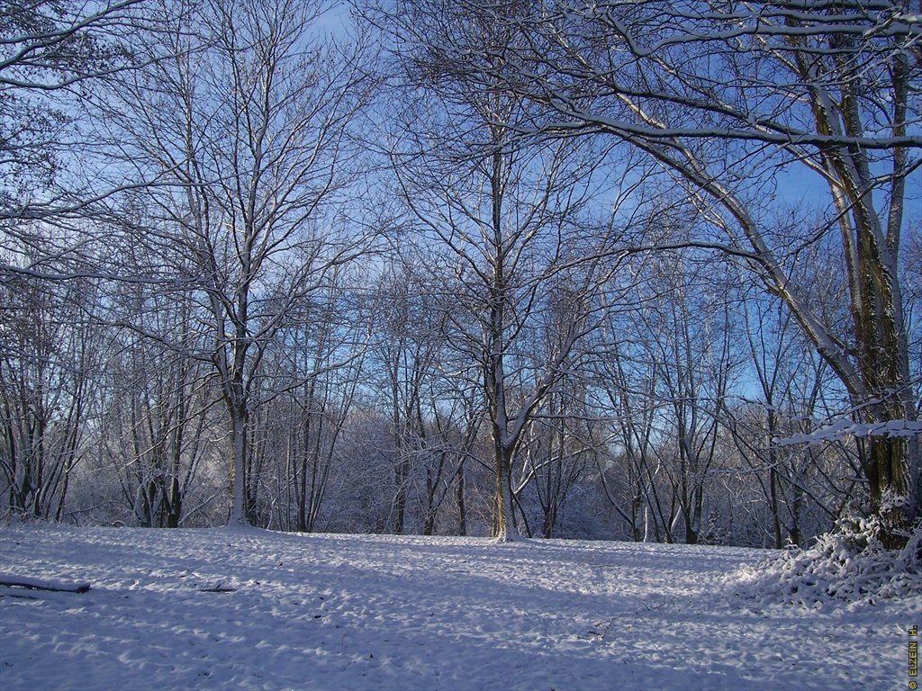 Photo de la Plaine #56