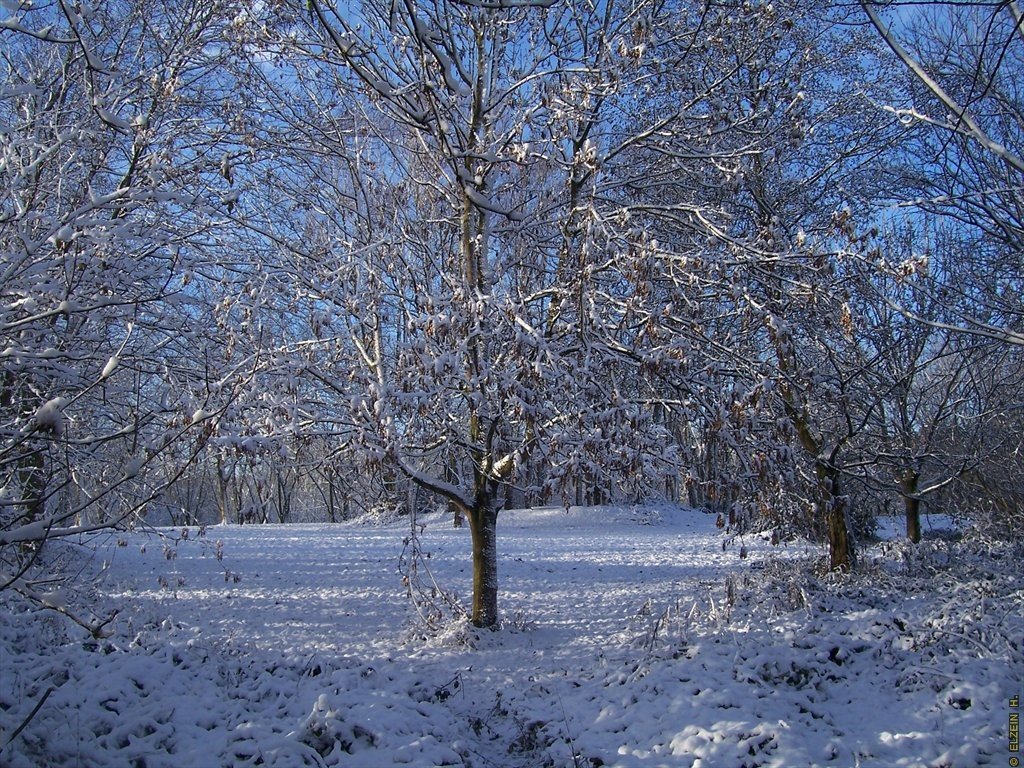 Photo de la Plaine #58