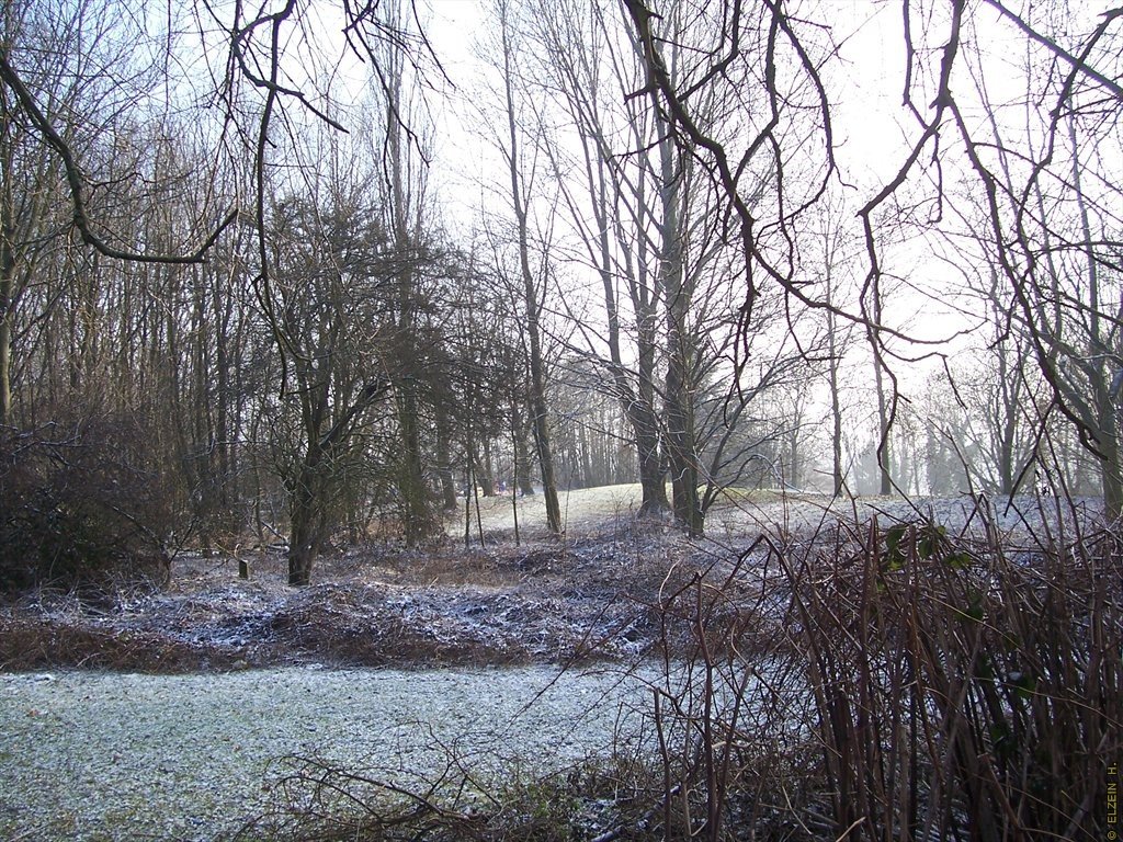 Photo de la Plaine #60