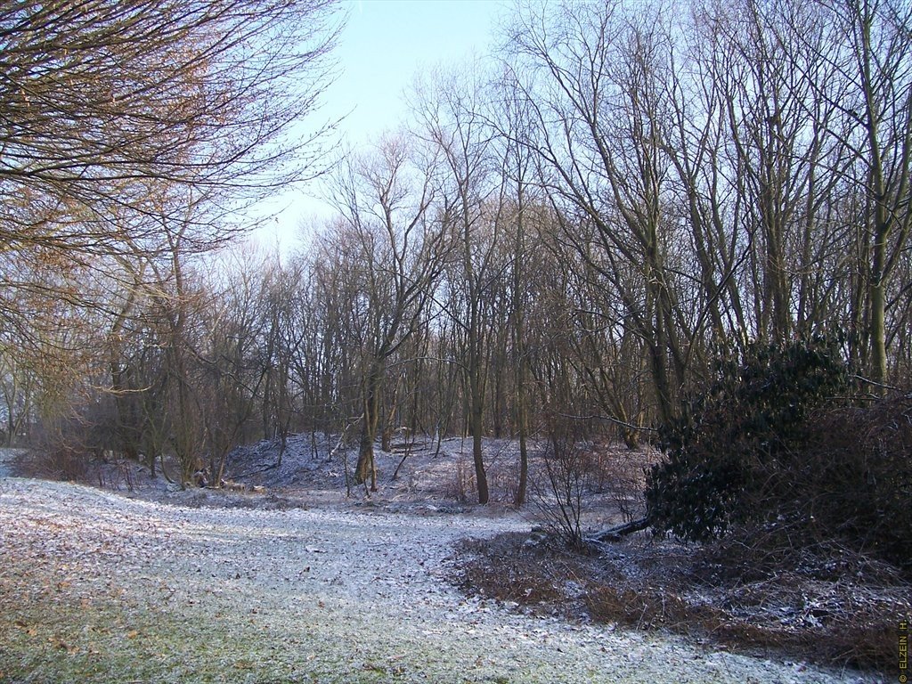 Photo de la Plaine #61