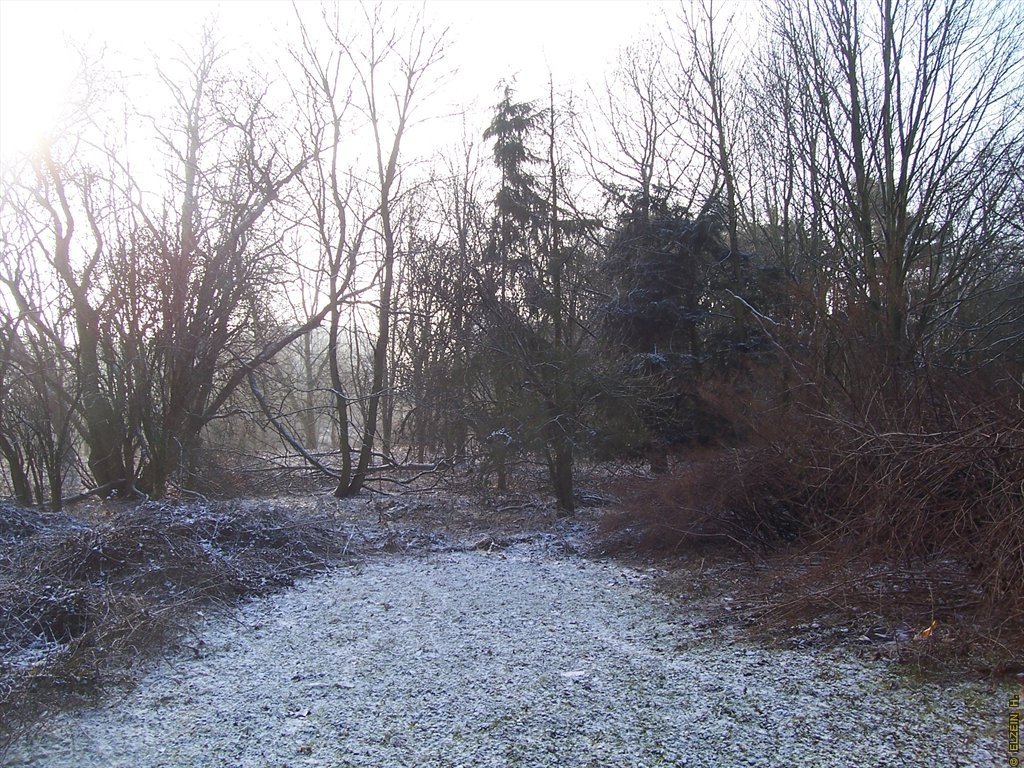 Photo de la Plaine #62