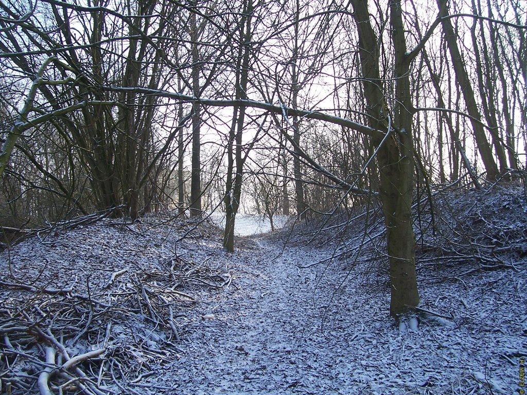 Photo de la Plaine #64