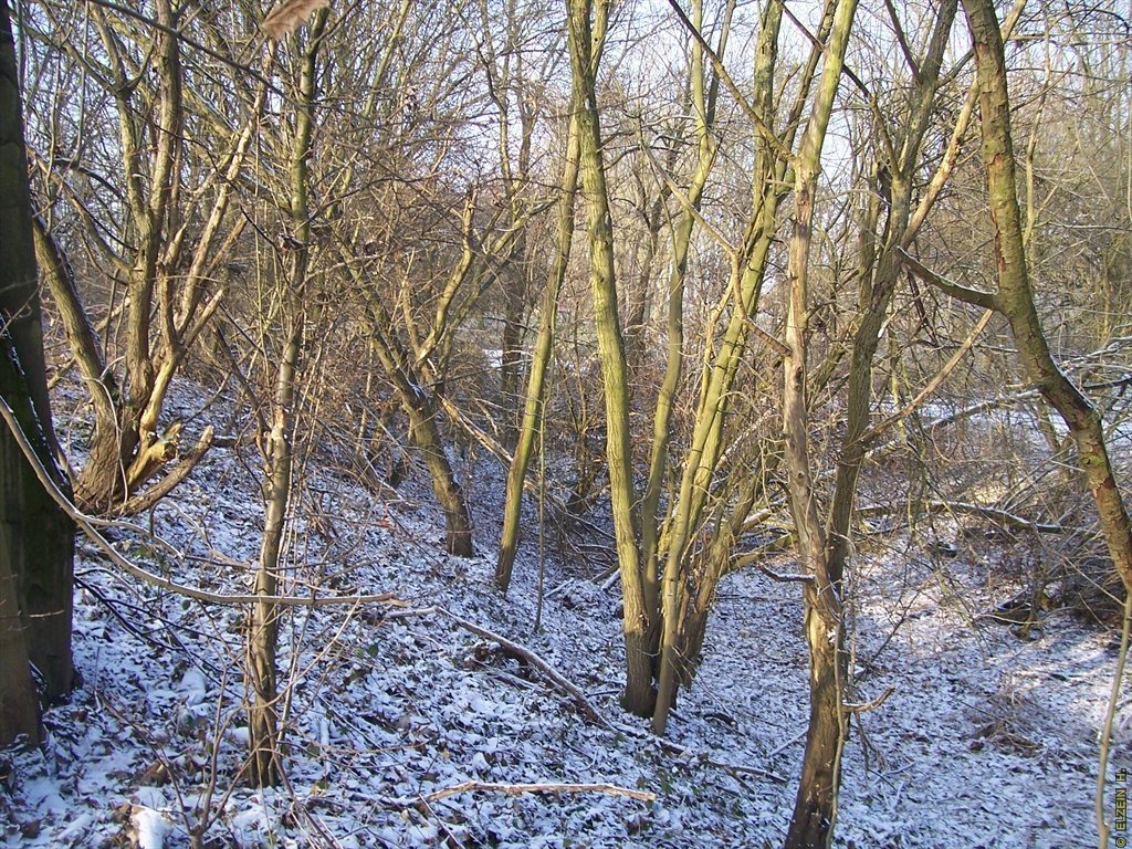 Photo de la Plaine #65