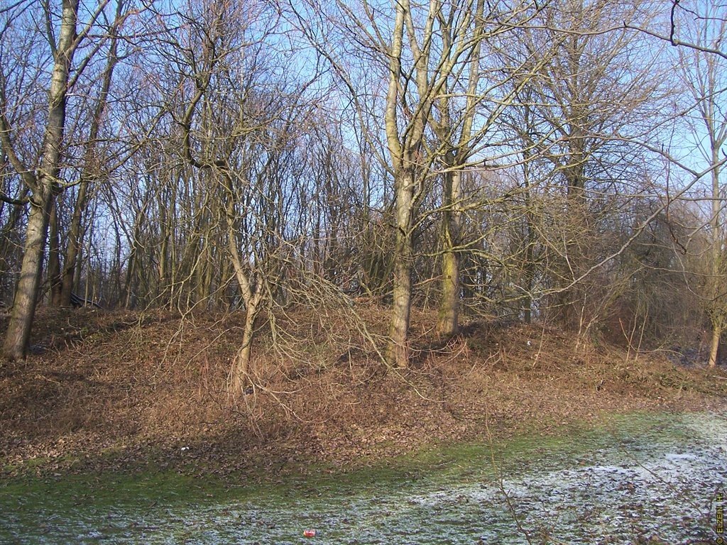 Photo de la Plaine #68