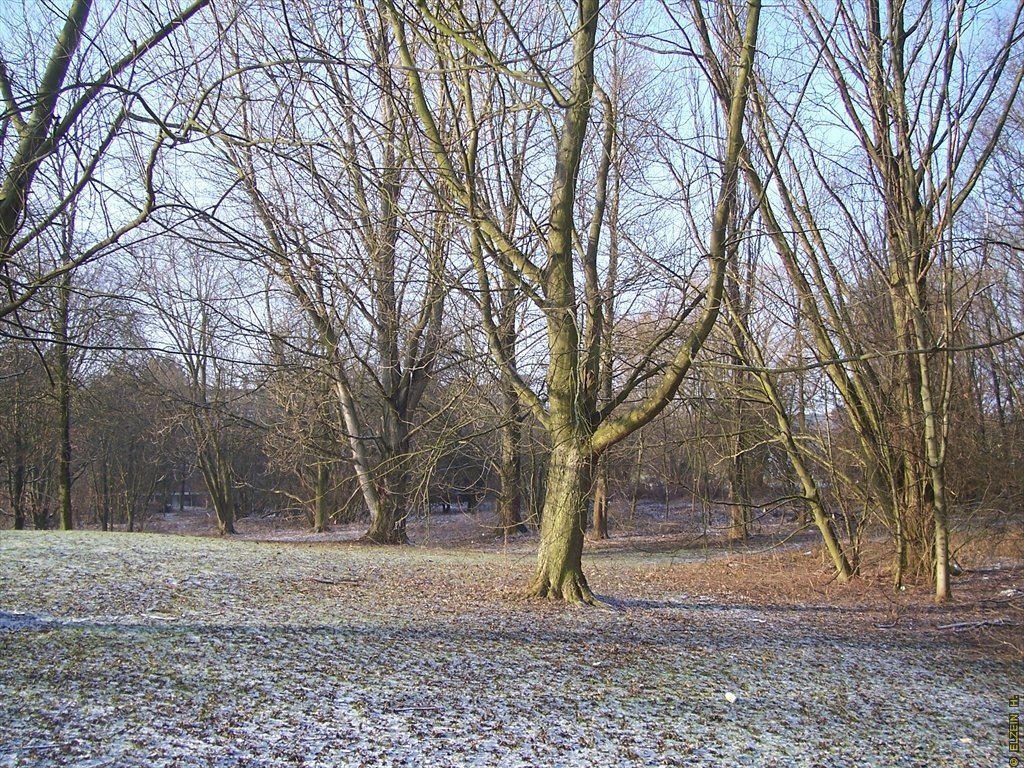 Photo de la Plaine #69