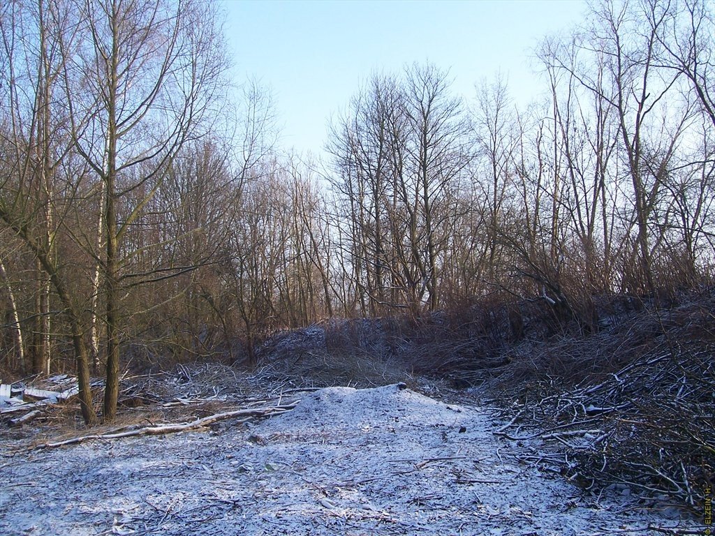 Photo de la Plaine #74