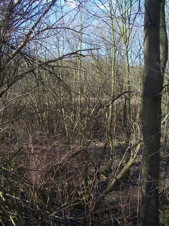 Photo de la Plaine #78