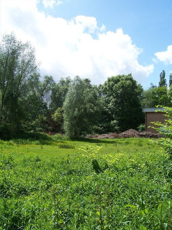 Photo de la Plaine #84