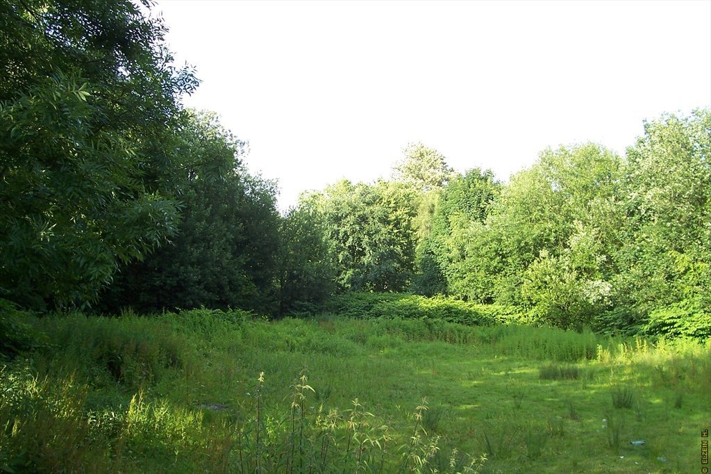 Photo de la Plaine #86