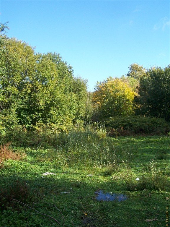 Photo de la Plaine #87