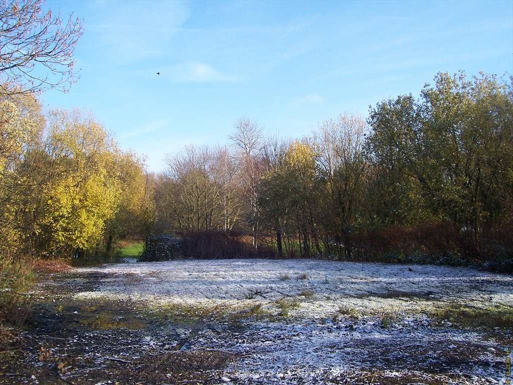 Photo de la Plaine #88