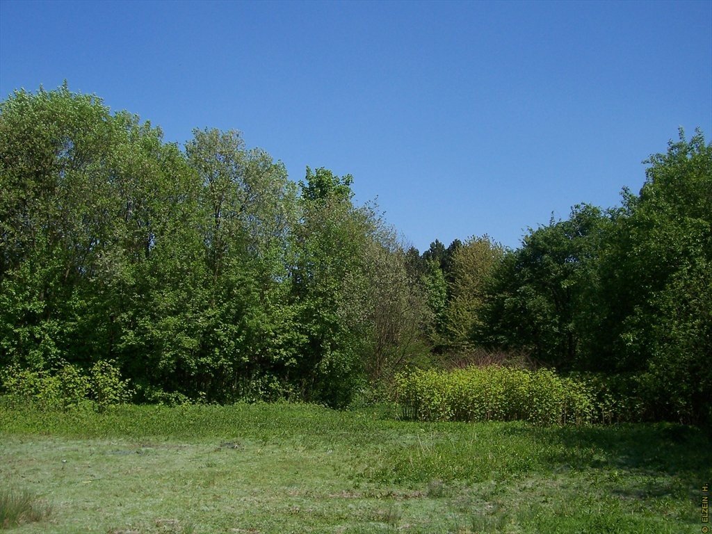 Photo de la Plaine #89