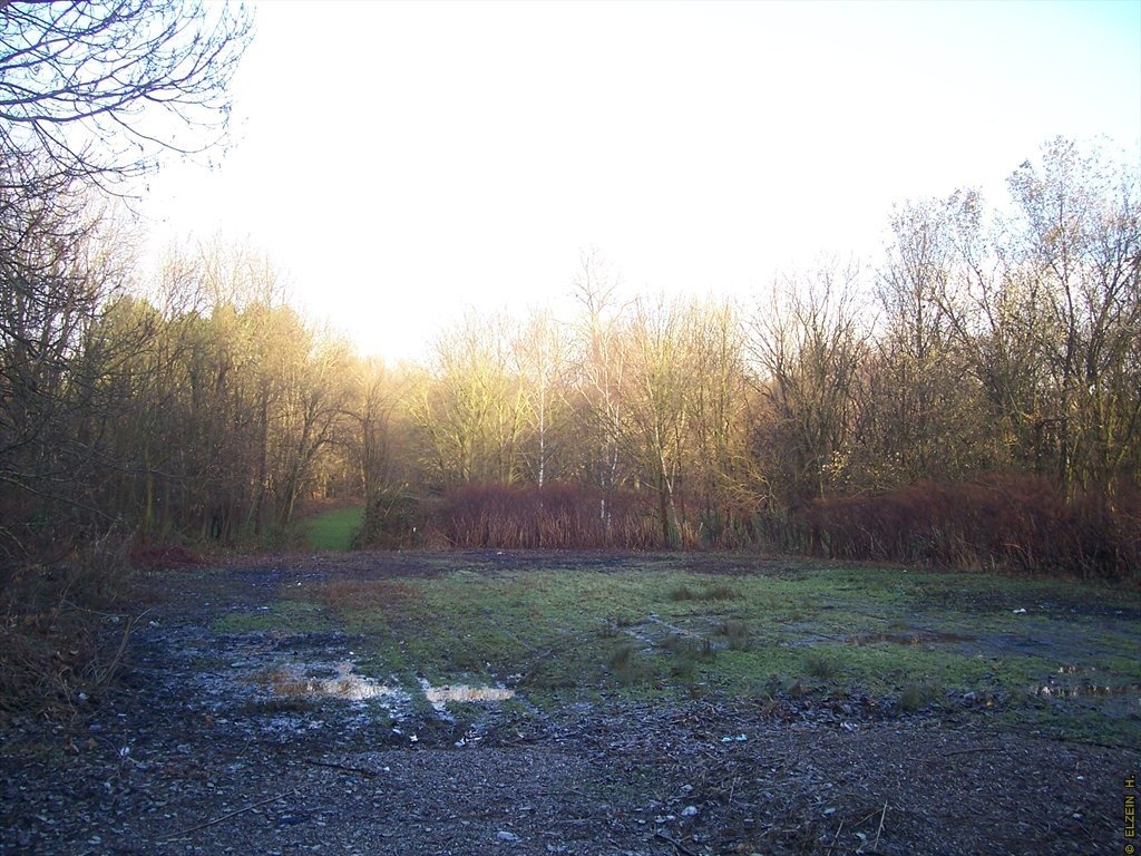 Photo de la Plaine #90