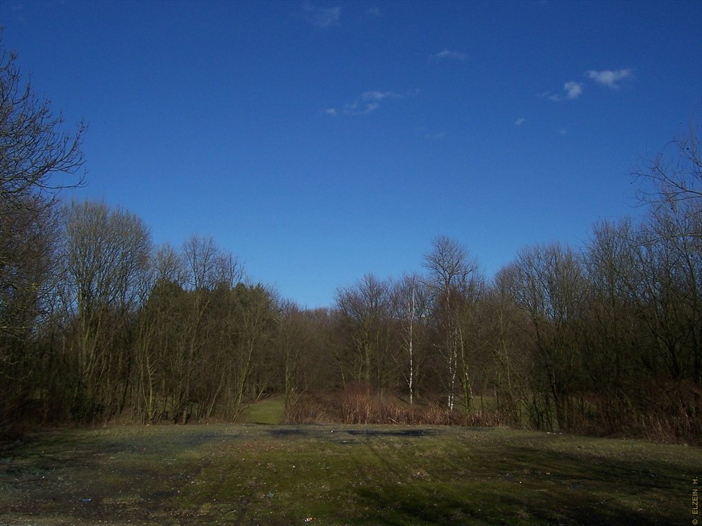 Photo de la Plaine #93