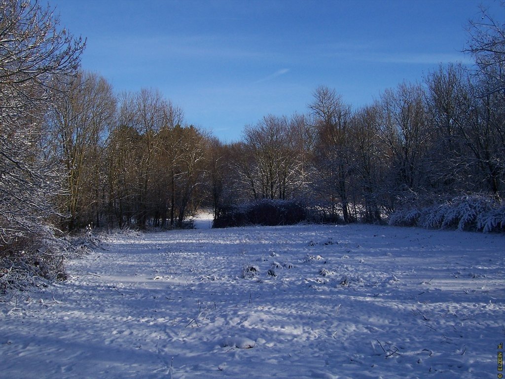 Photo de la Plaine #94