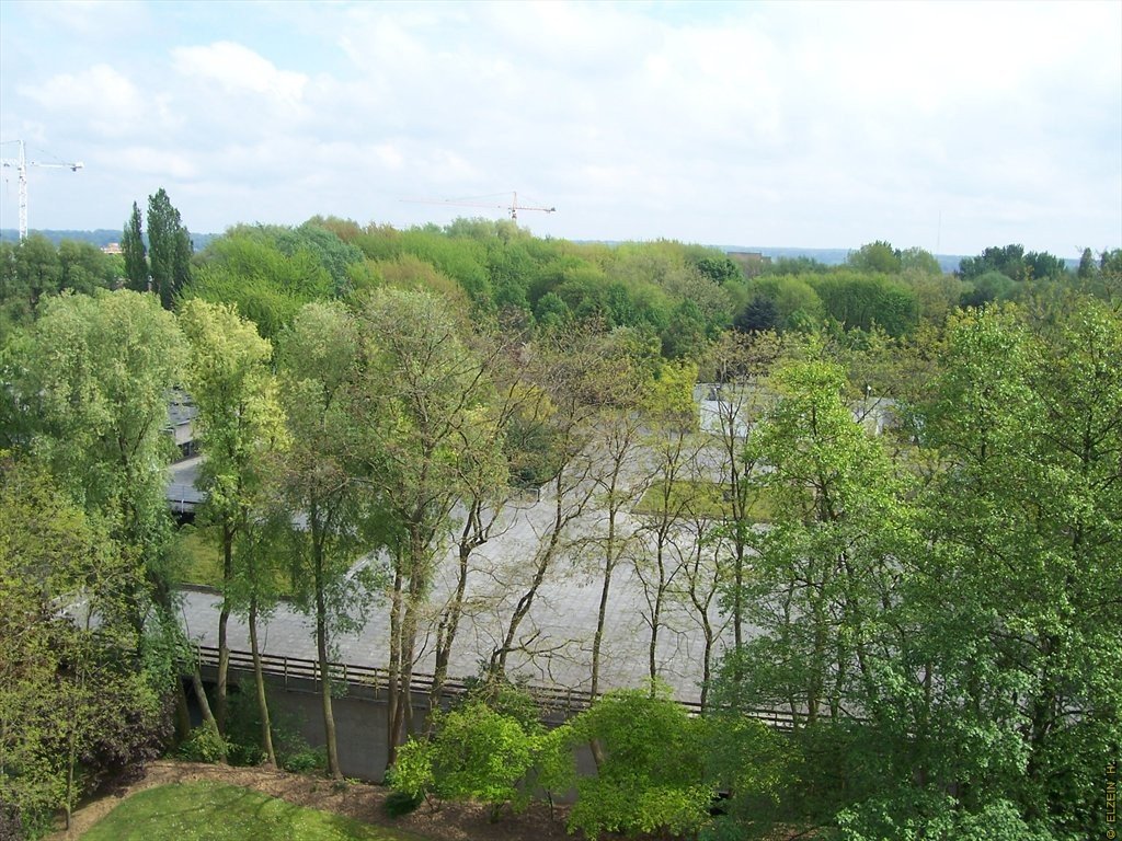 Photo de la Plaine #102