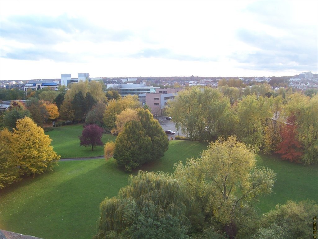 Photo de la Plaine #107