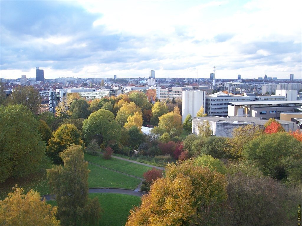 Photo de la Plaine #116