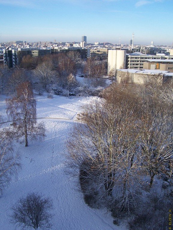 Photo de la Plaine #117