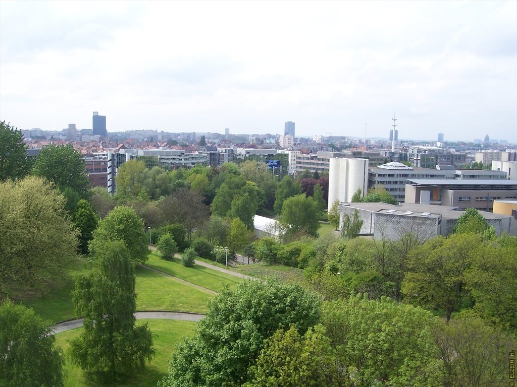 Photo de la Plaine #118