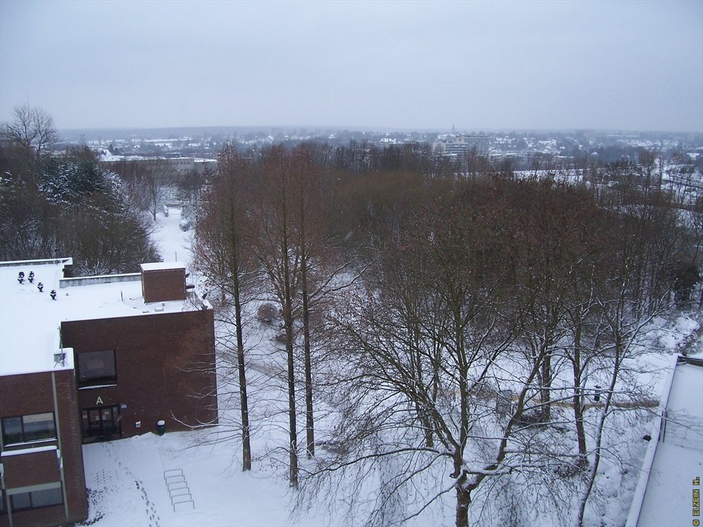 Photo de la Plaine #121