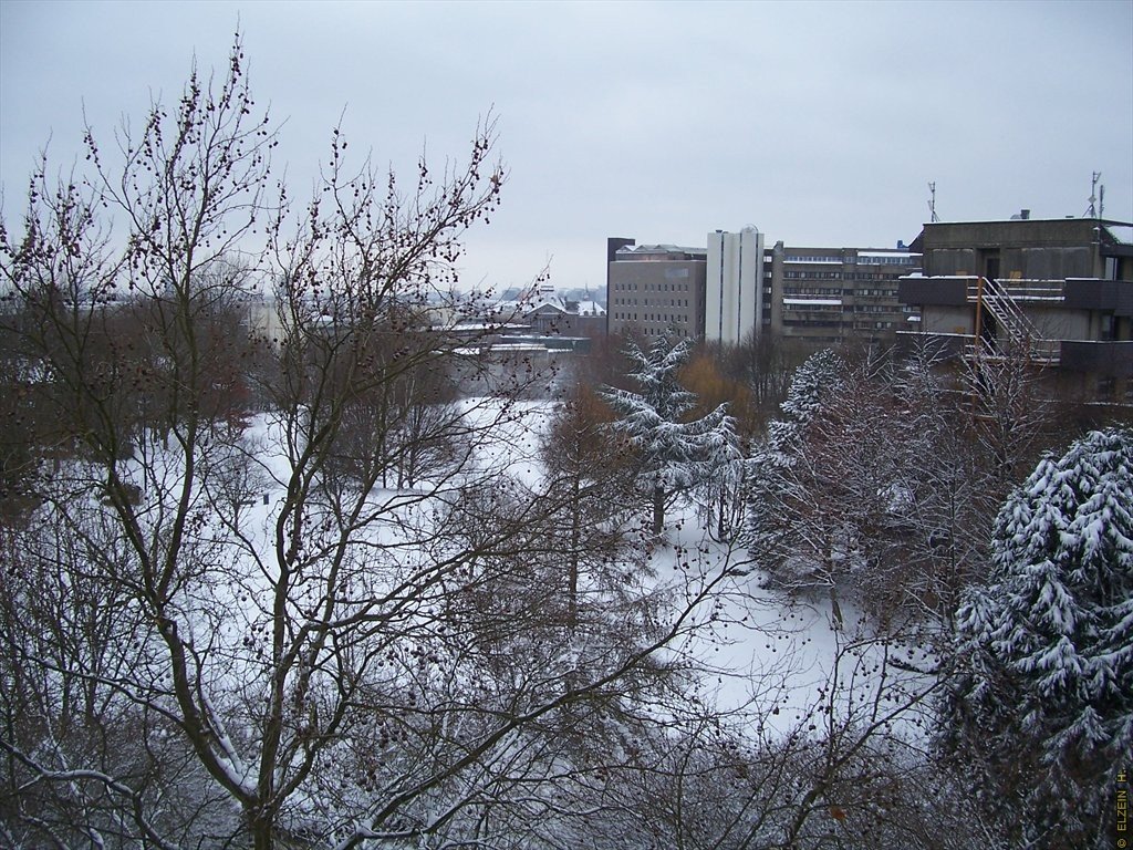 Photo de la Plaine #122