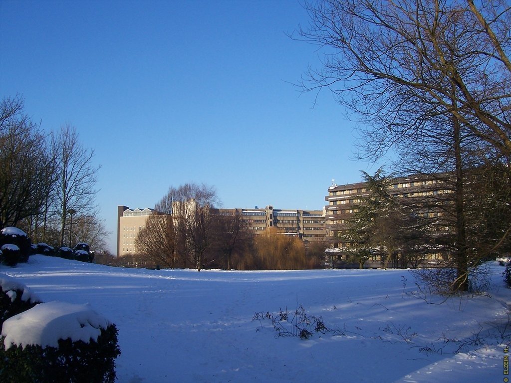 Photo de la Plaine #124