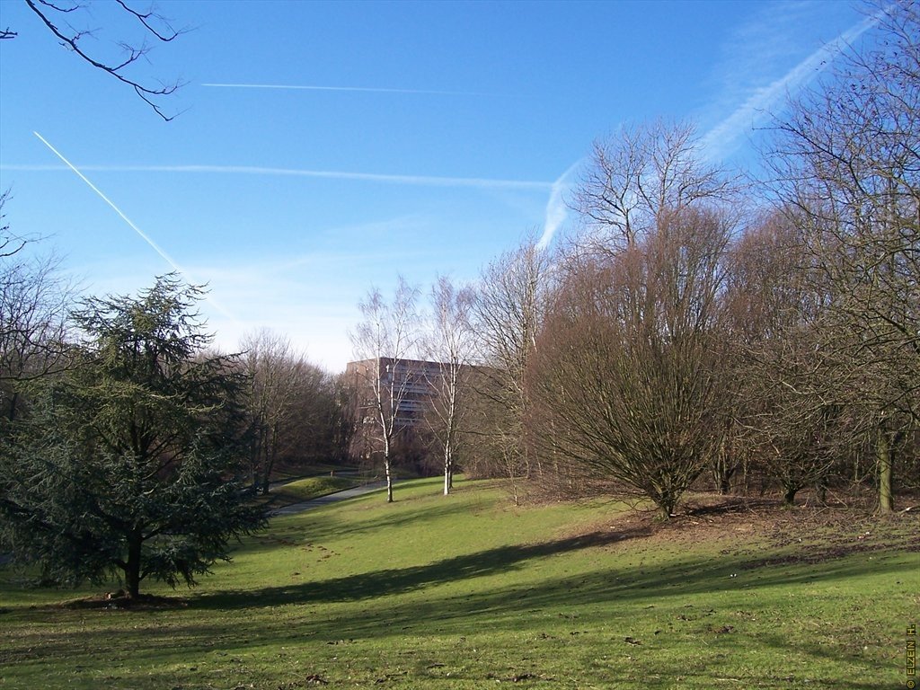 Photo de la Plaine #127