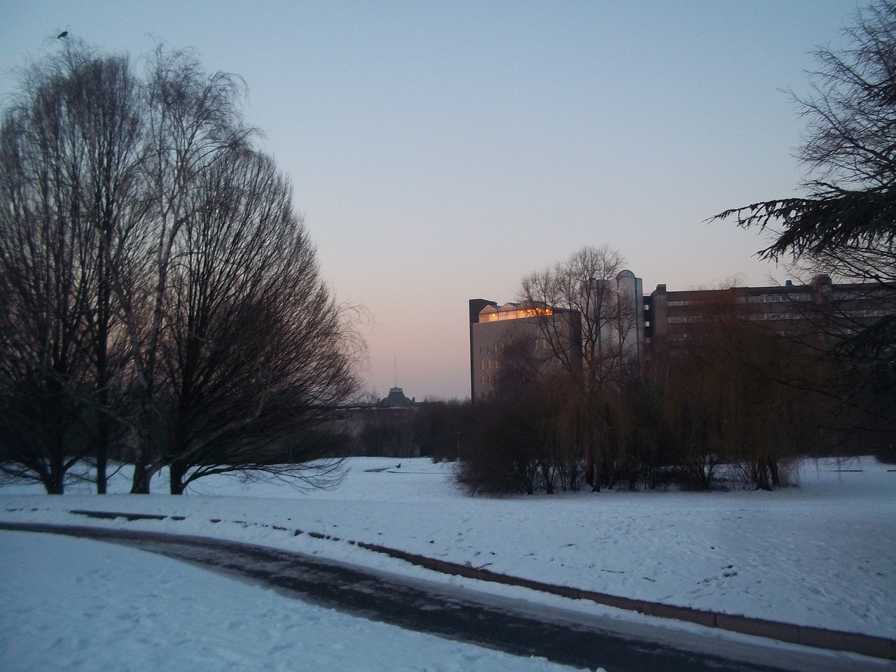 Photo de la Plaine #130